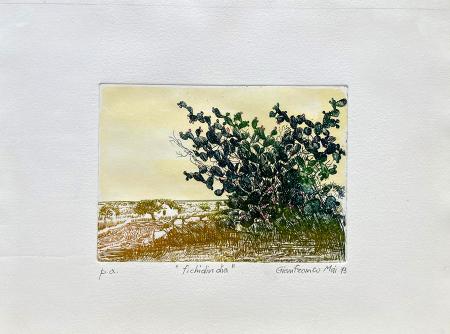 Art work by Giannfranco  Mai  Fichi d'india  - lithography paper 